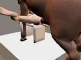 Horse fuck computer animation