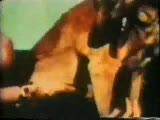 Linda Lovelace & Dog