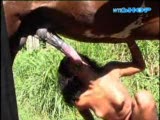 sucking horse part 1