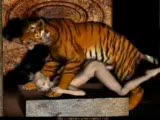 tiger fucking girl