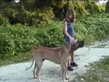 Teen corious about dog cock