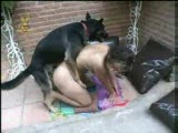 dog sex