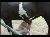 cum shot 