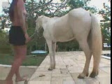 white horse and morena