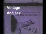 Vintage dog sex