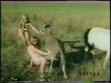 2 girls and a donkey