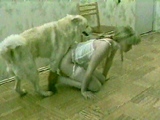 dog humping a girl when she's on the phone