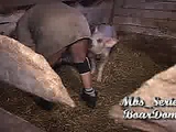 dirty pig sex