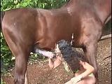 Woman suck horse