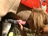 sexy blonde sucking a horse