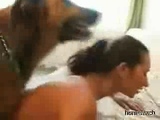 dogsex anal