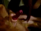 fat janette sucks spaniel