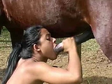 horse cum