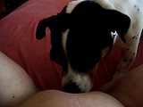 Mein Jacky und ich