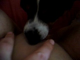 Mein jacky und ich 2
