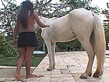 Horse sex