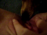 dog licking my pussy good