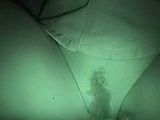 night horse