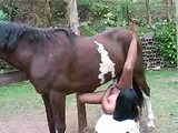 cheval