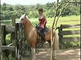 Real horse sex