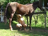 Nice blonde fuck horse