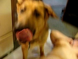Jenny gets licked clean!