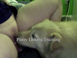 First time dog licking pussy (short)