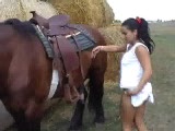 horse sex in the farm