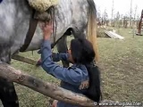 hungarian girl suck a horse cock